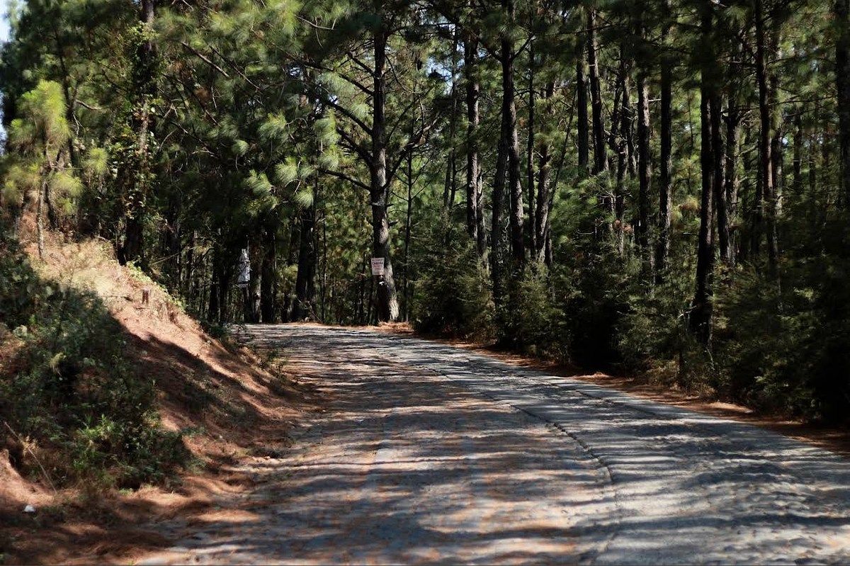 Terreno à Venda no Coração de Mazamitla, foto 1 de 9