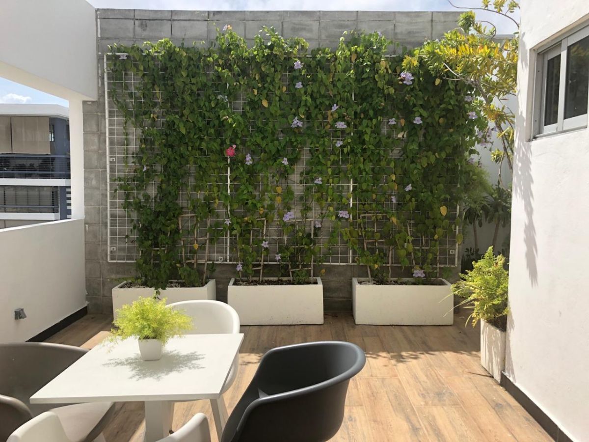 Apartamento en Piantini, Santo Domingo Centro (Distrito Nacional), foto 12 de 16