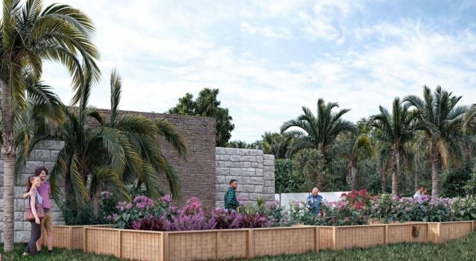 Terreno en Higuera Blanca, Bahía de Banderas, foto 2 de 11