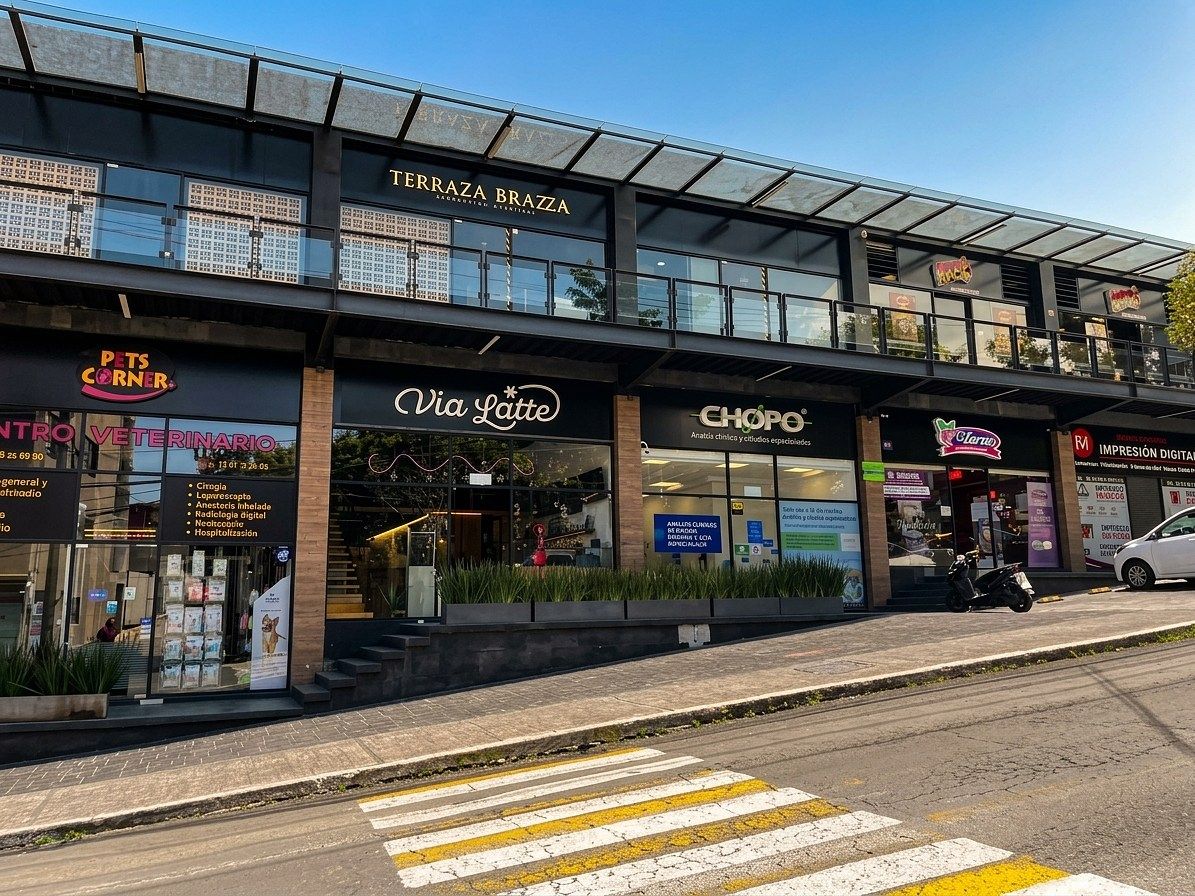Local comercial en Manzanastitla, Cuajimalpa de Morelos, foto 2 de 6