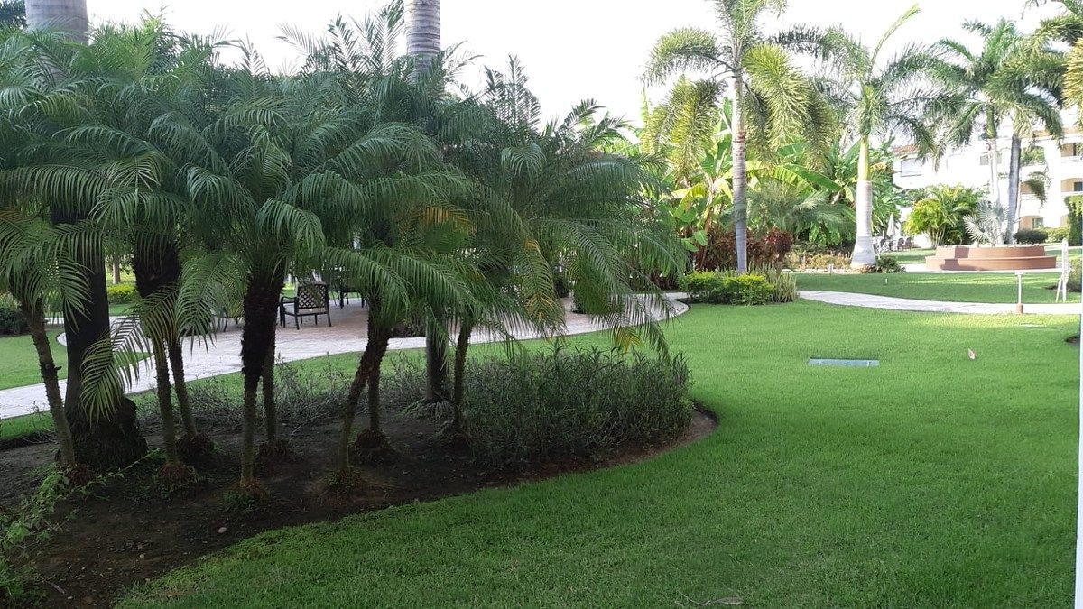 Apartamento em Nuevo Vallarta, Bahía de Banderas, foto 11 de 12