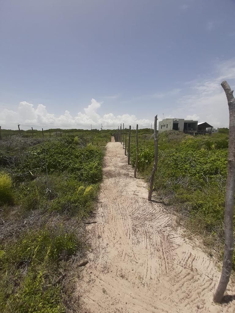 Terreno en Sisal, Hunucmá, foto 5 de 5