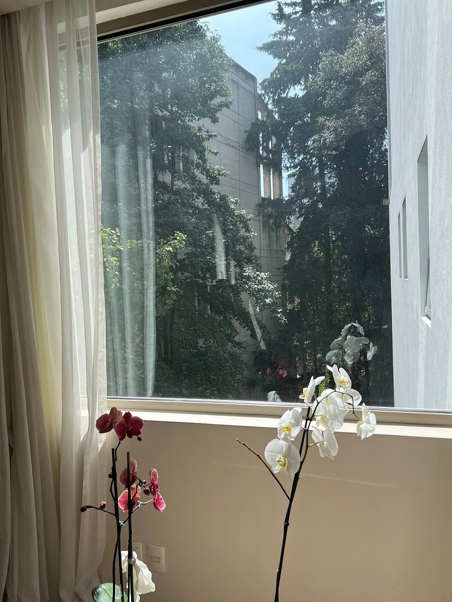 Departamento en Lomas de Vista Hermosa, Cuajimalpa de Morelos, foto 23 de 48