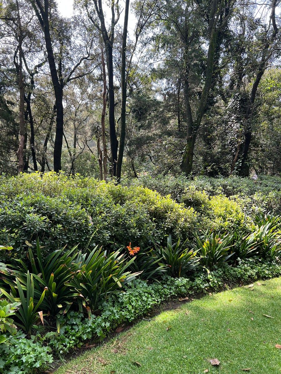 Departamento en Lomas de Vista Hermosa, Cuajimalpa de Morelos, foto 33 de 48