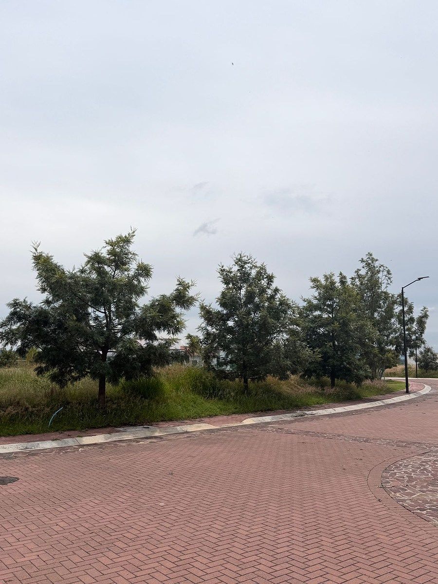 Terreno en Ciudad Maderas, Lagos de Moreno, foto 5 de 6