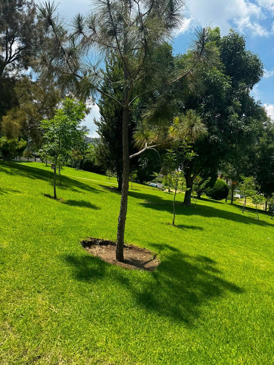 area verde casa club, foto 11 de 37