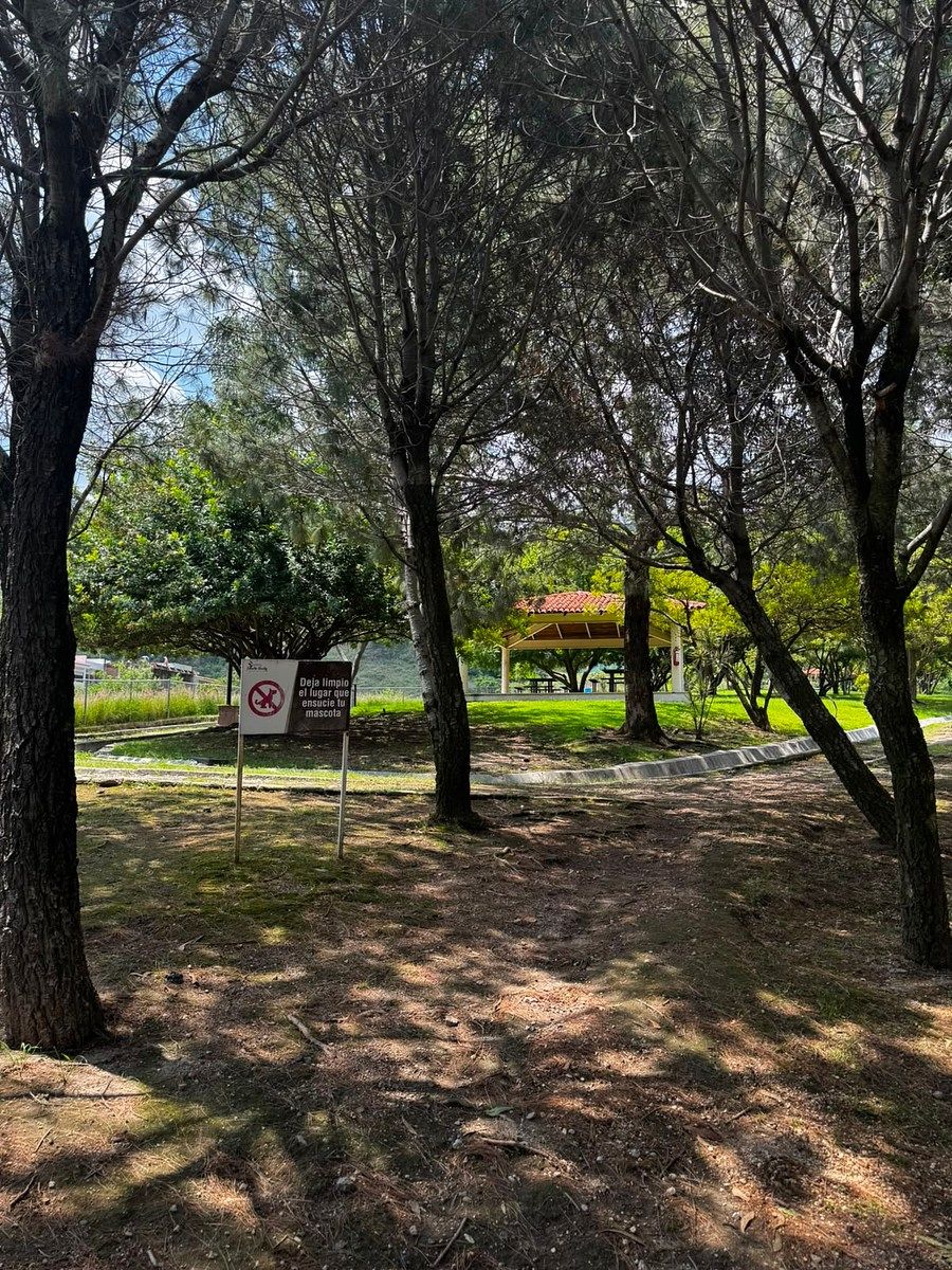 zona ecologica, foto 15 de 37