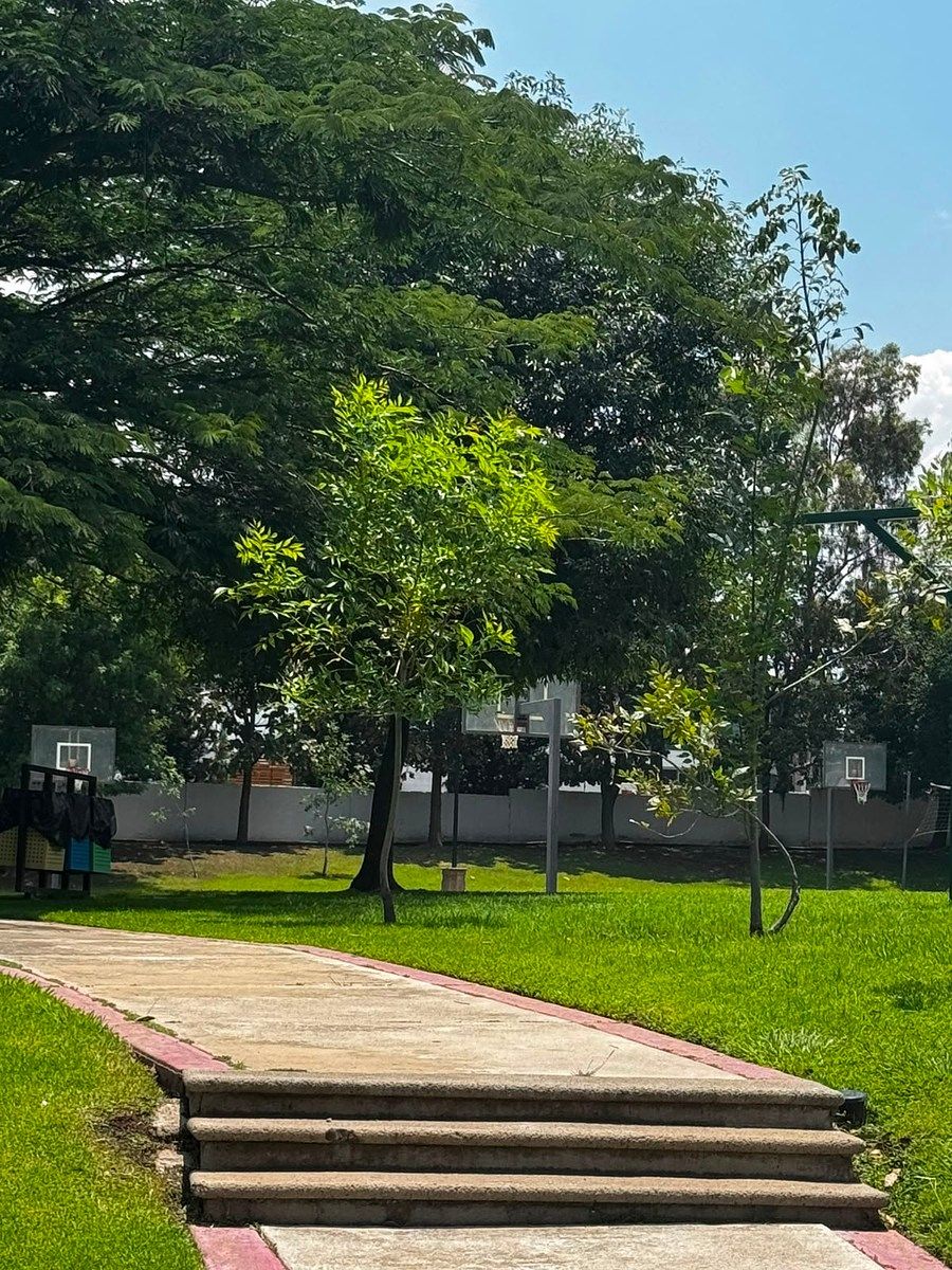 area verde, foto 16 de 37