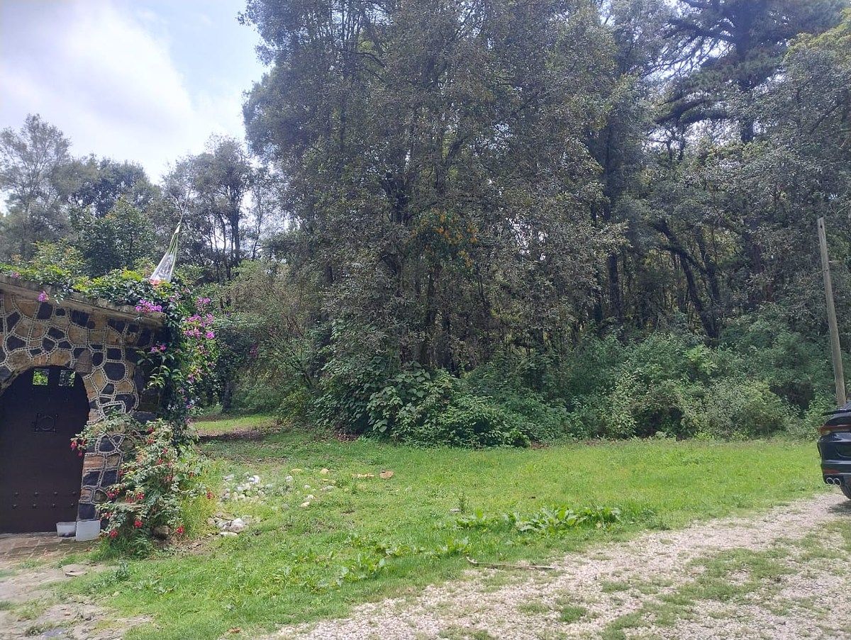 Entorno, foto 6 de 9