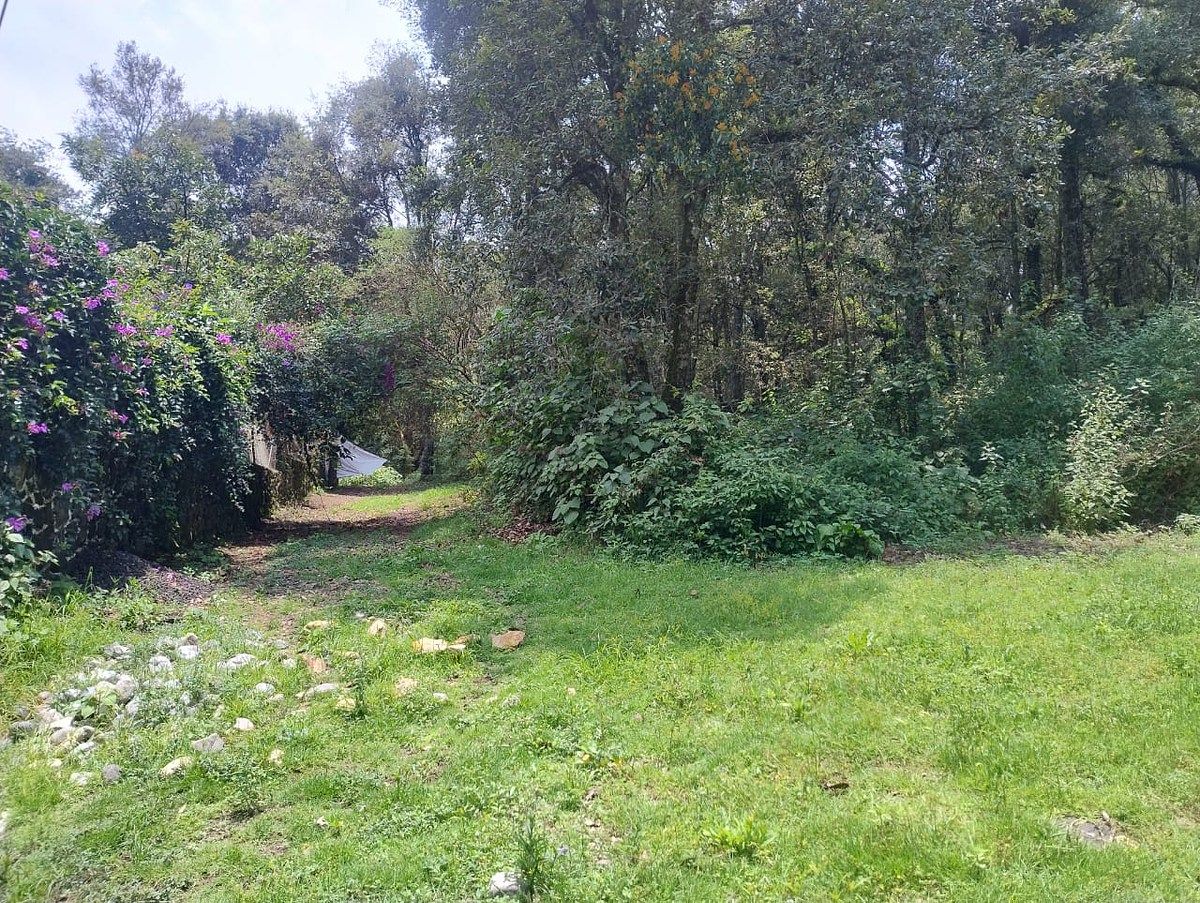 Vista del terreno, foto 9 de 9