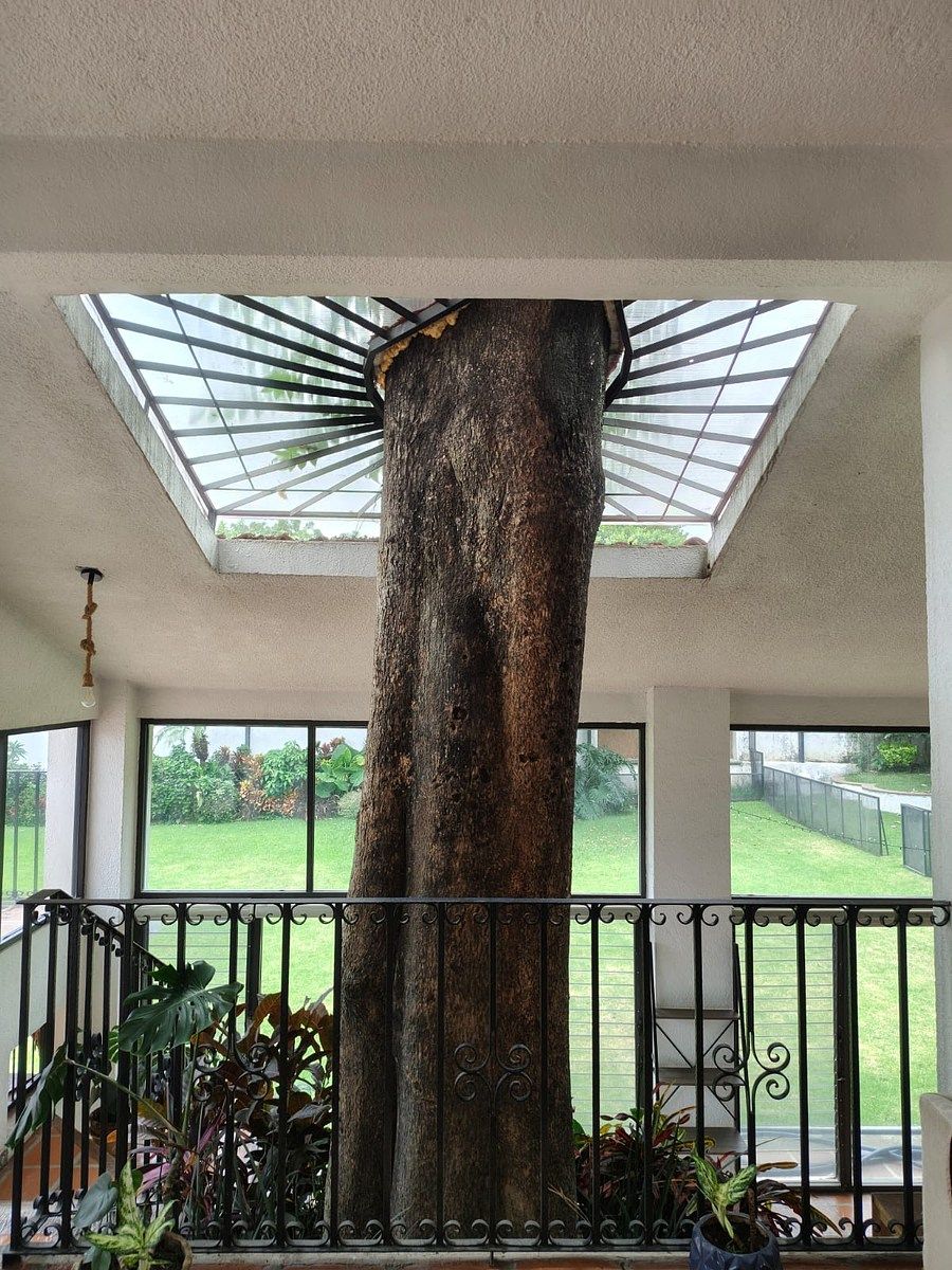 Casa en Lomas de Cortes, Cuernavaca, foto 5 de 19