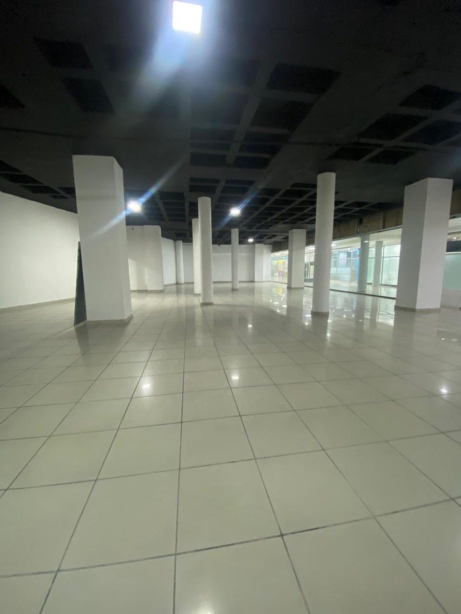 LOCALES COMERCIALES EN RENTA EN NACO, foto 1 de 7