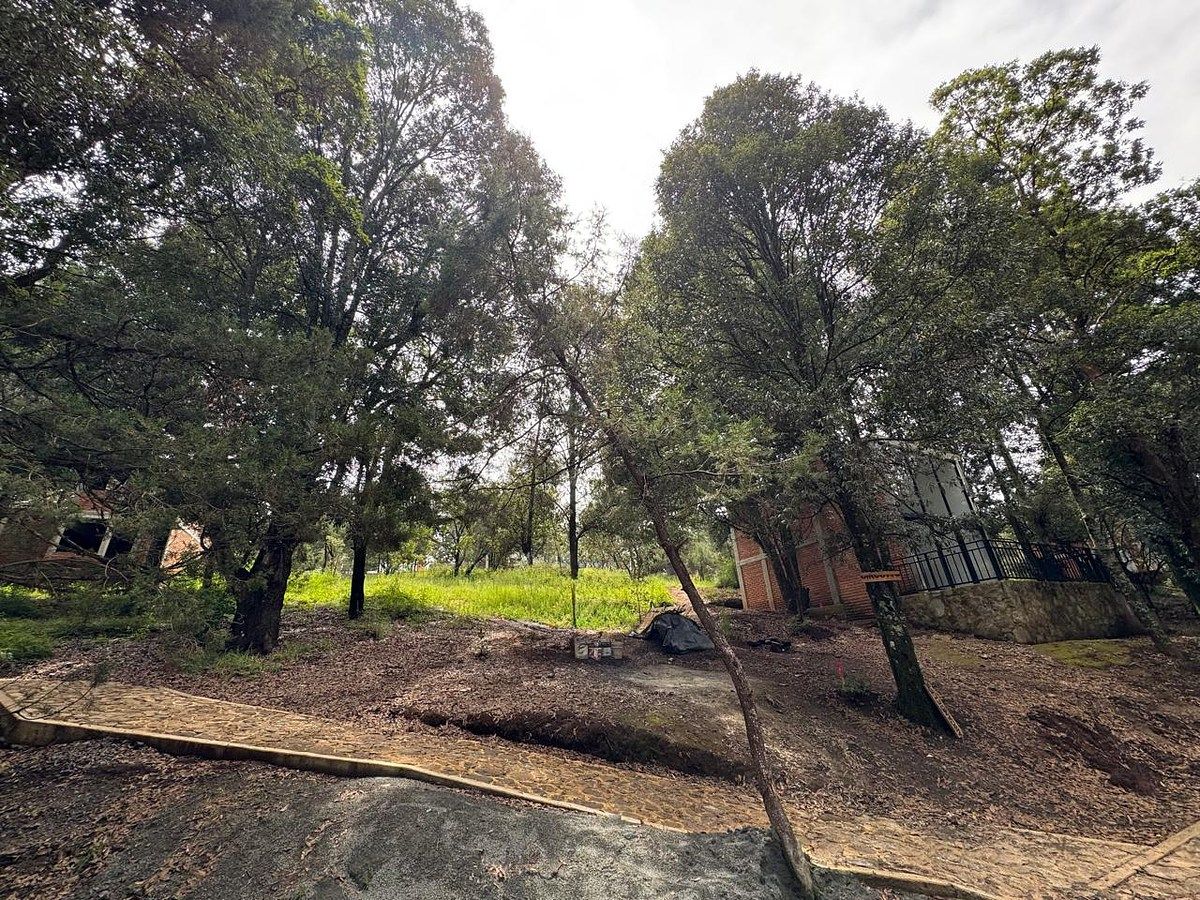 Terreno, foto 1 de 6