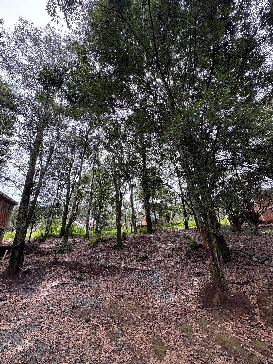 Terreno, foto 4 de 6