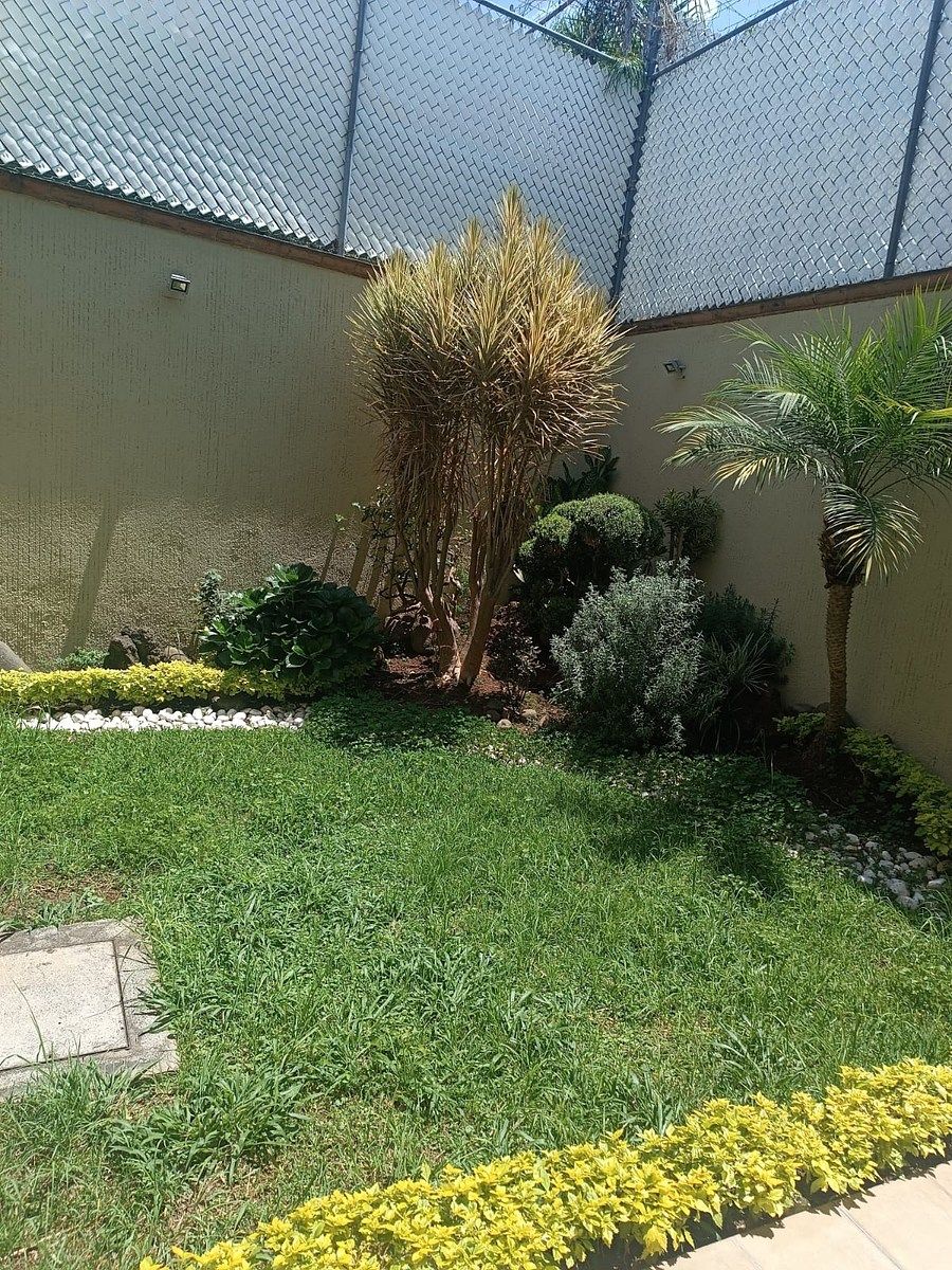 Jardín, photo 4 of 7