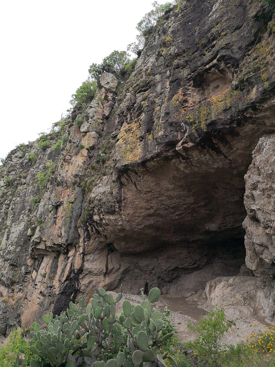 Terreno en Santa Rosa de Lima, Guanajuato, foto 8 de 9