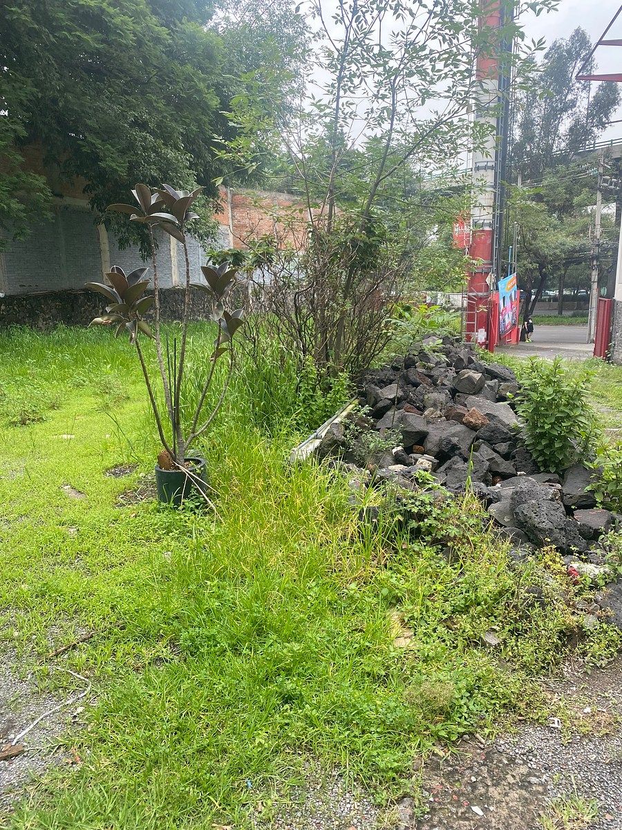 Terreno en Venta Periférico Tips Inmobiliarios ®, foto 1 de 5