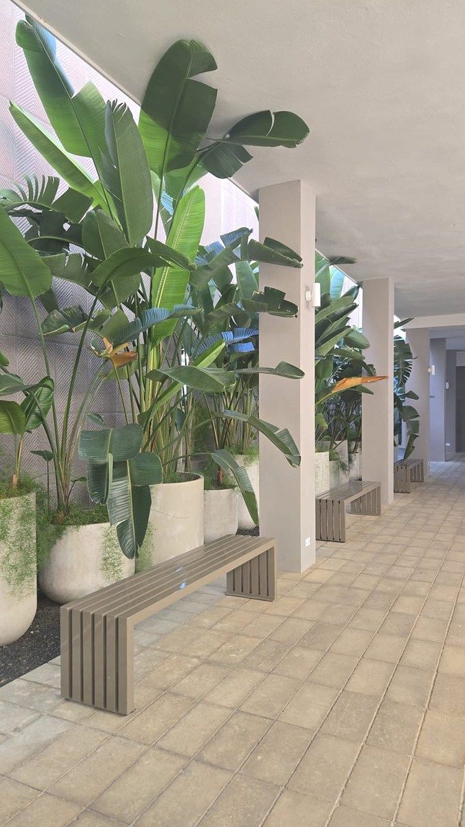 Apartamento en Santo Domingo Centro (Distrito Nacional), foto 9 de 21