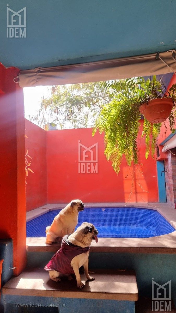 Casa em Privadas de las Villas, García, foto 32 de 47