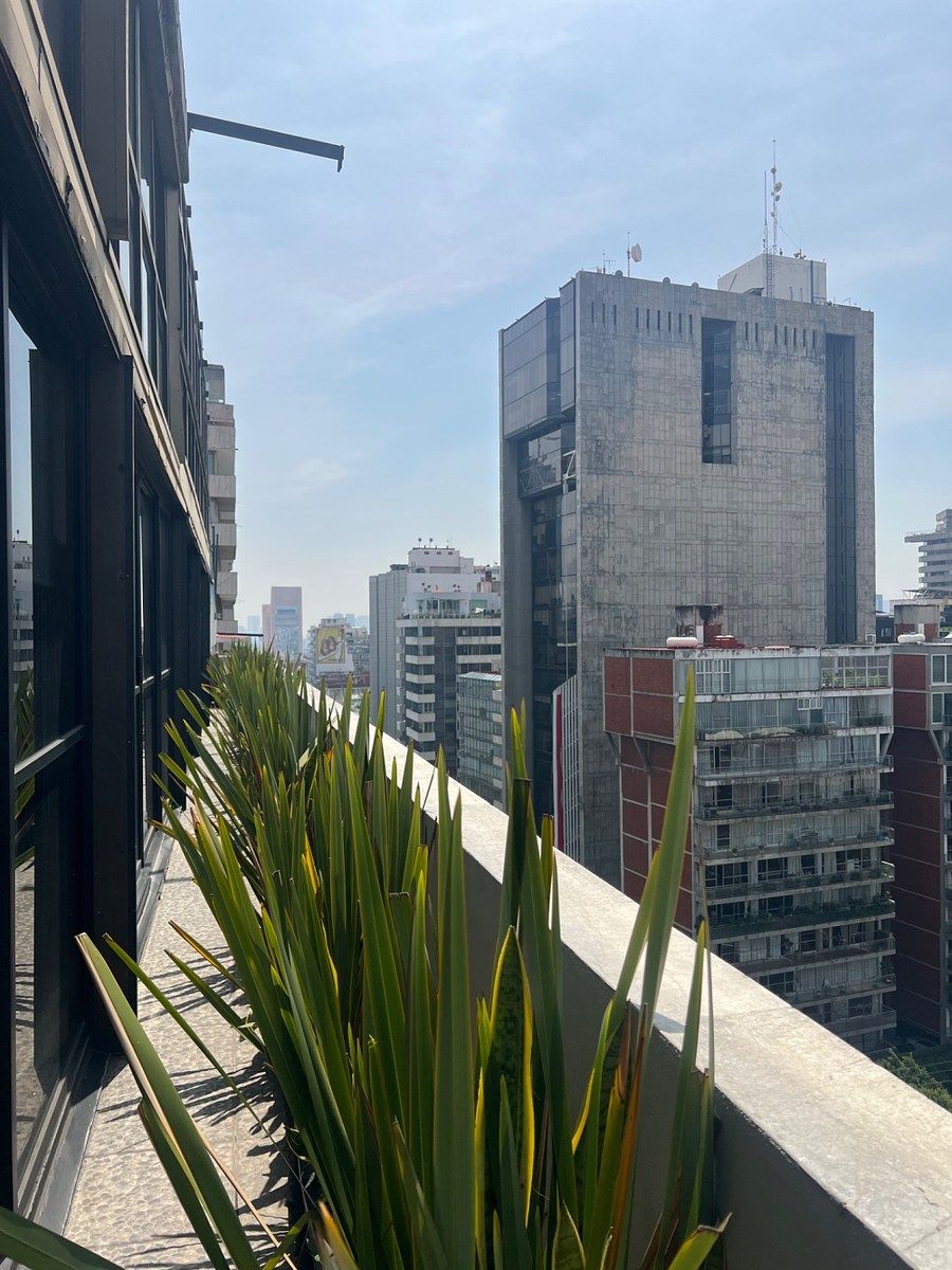 Departamento para Aluguel em Polanco com linha branca, foto 1 de 16