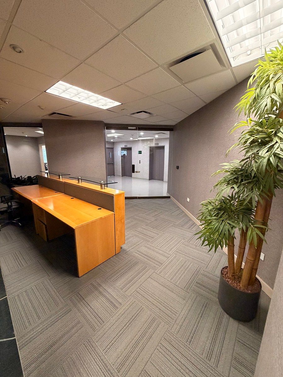 Sala Comercial em Zona Campestre, San Pedro Garza García, foto 2 de 14