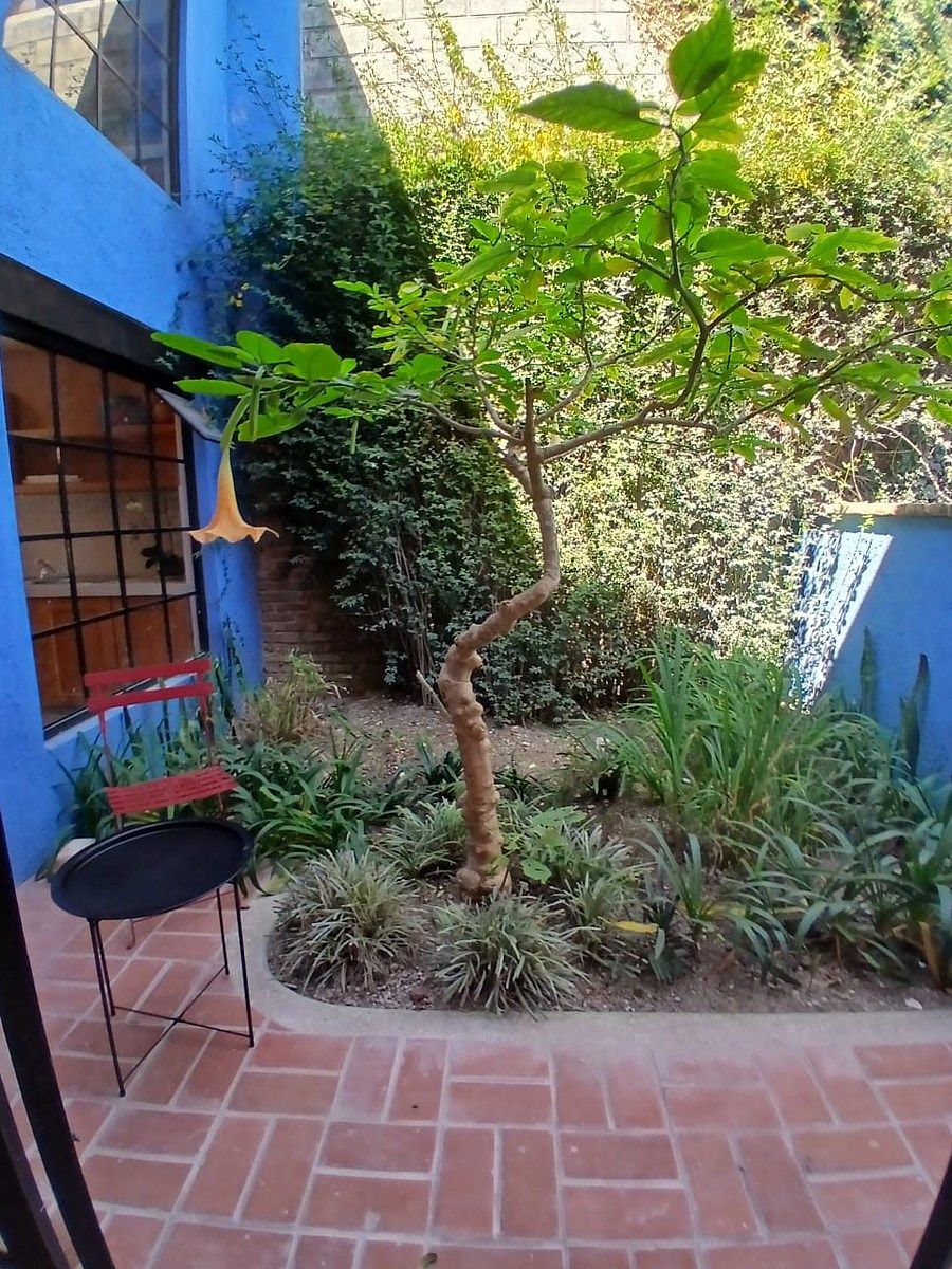 Departamento en Santa Lucia, San Cristóbal de Las Casas, foto 7 de 14