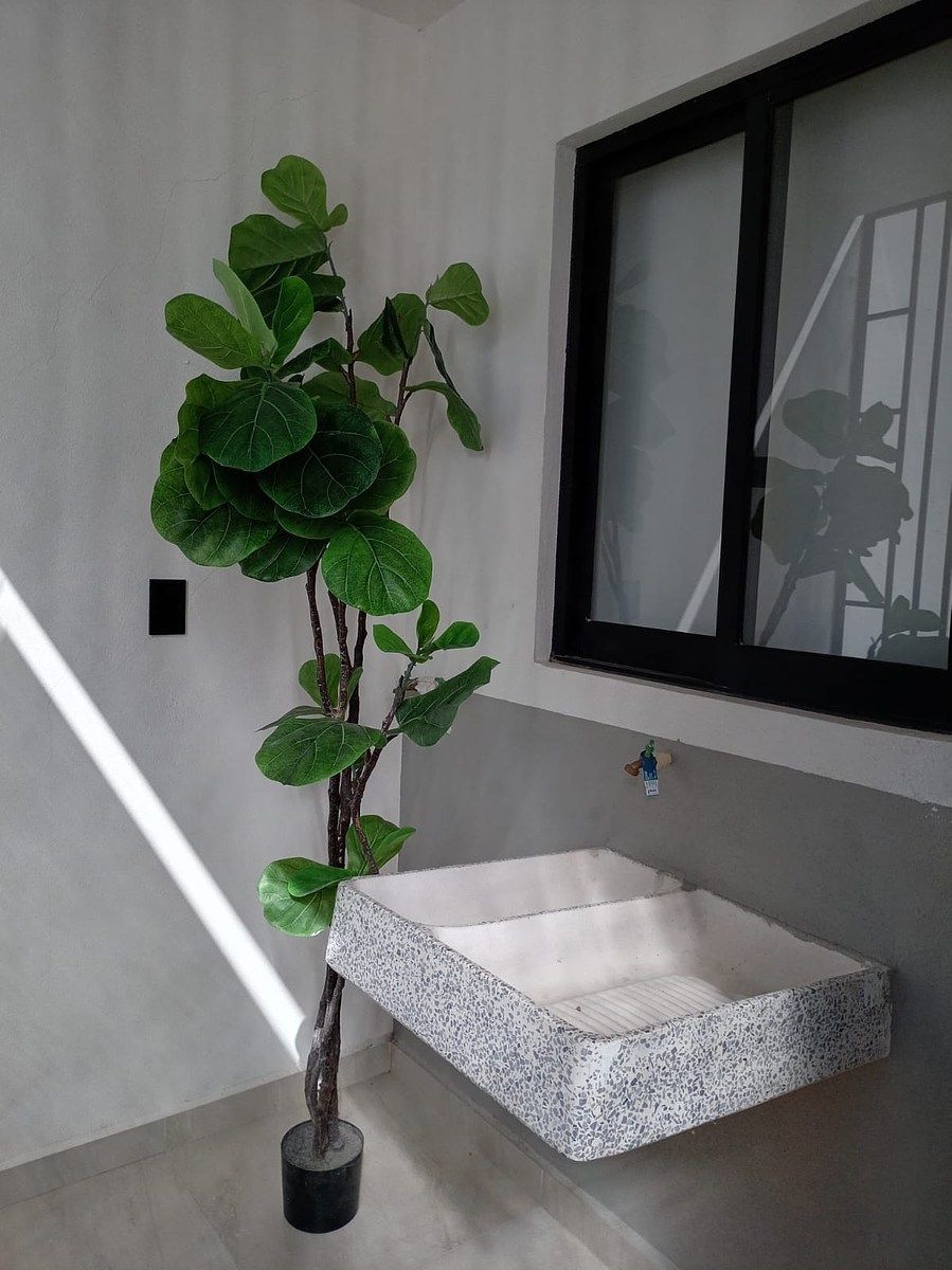 Apartamento em Ciudad del Sol, Querétaro, foto 12 de 19