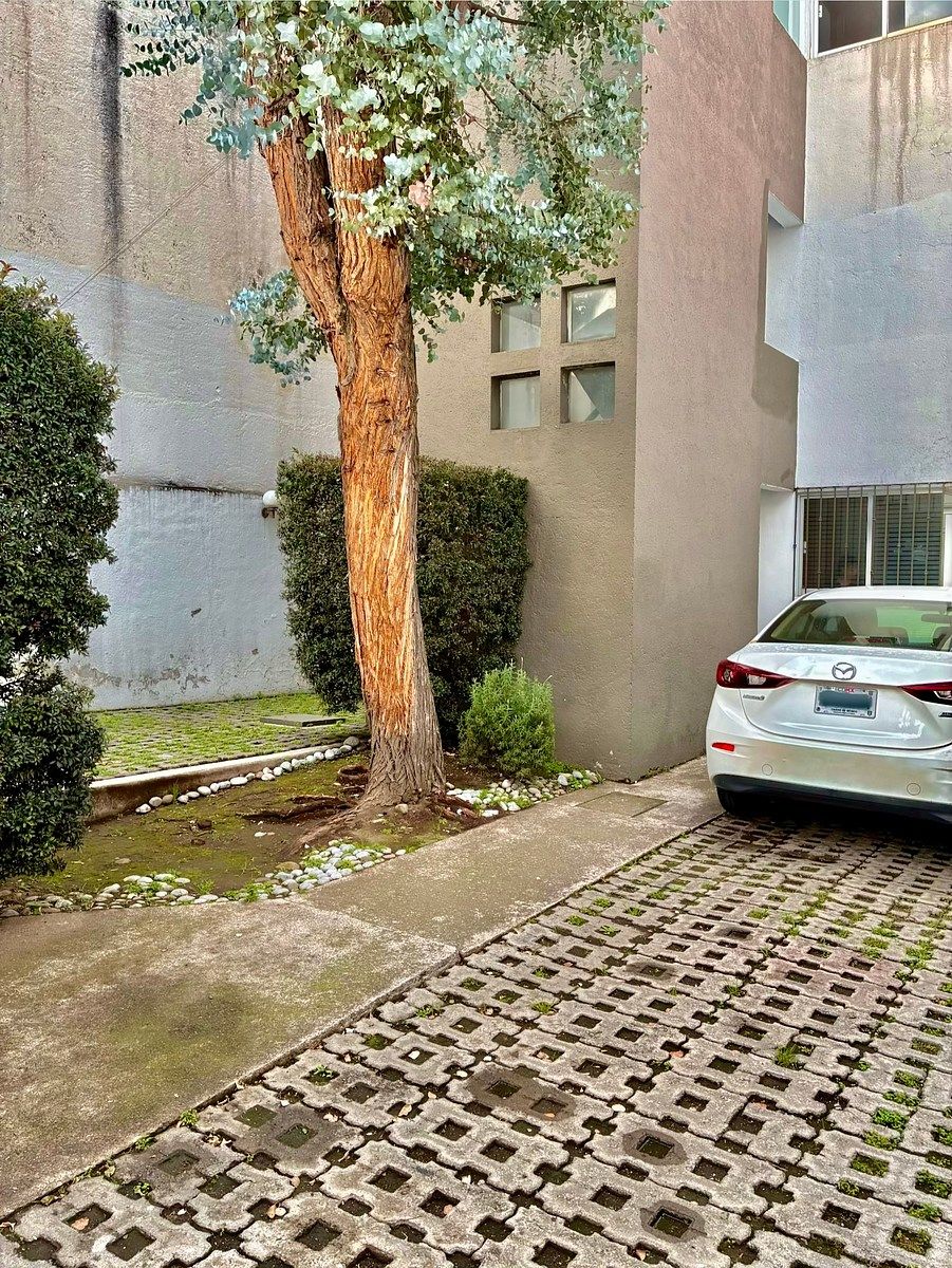 CASA DUPLEX ESPECTACULAR, foto 1 de 34