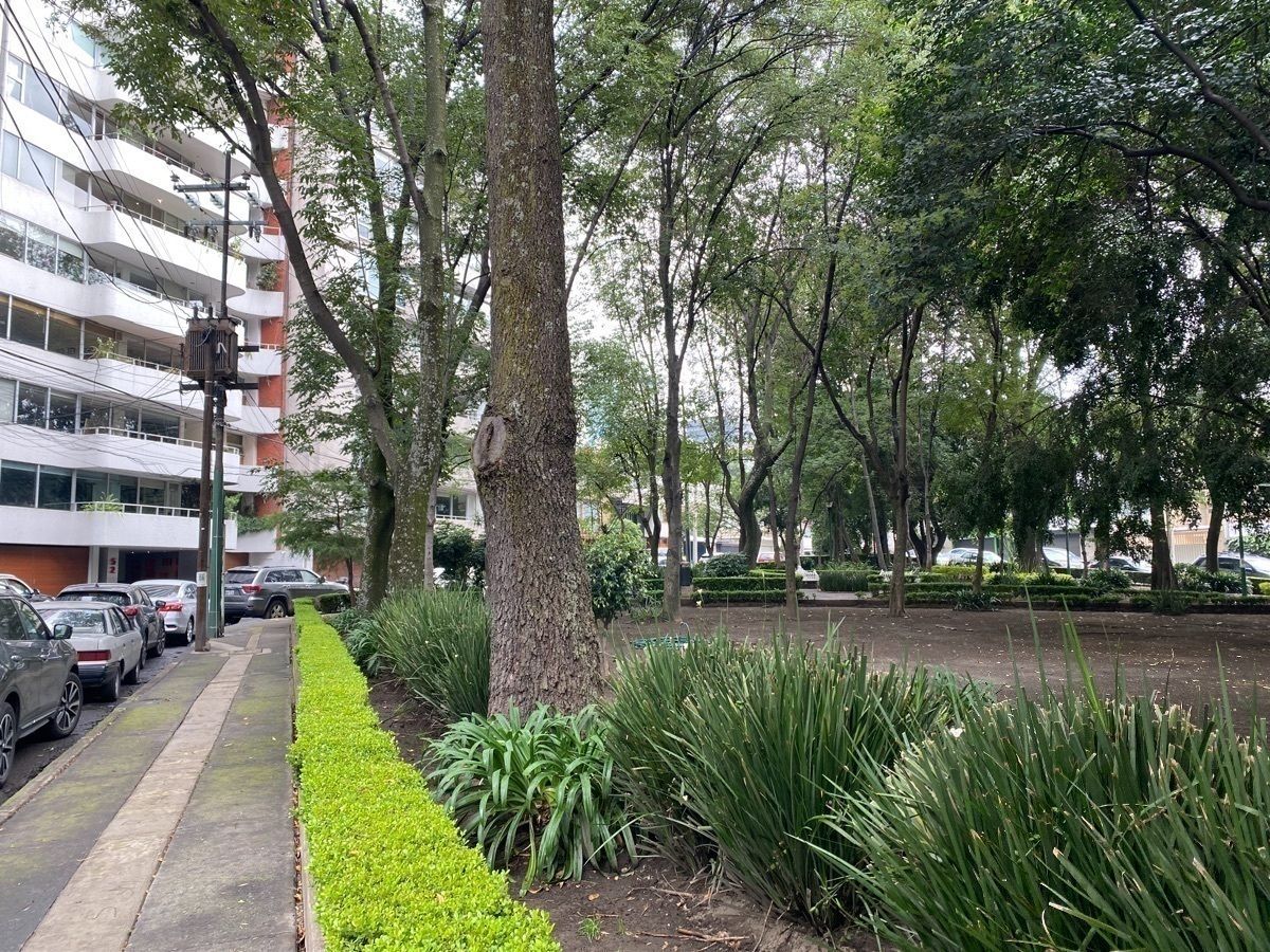 Departamento en Lomas de Chapultepec I Sección, Miguel Hidalgo, foto 20 de 20