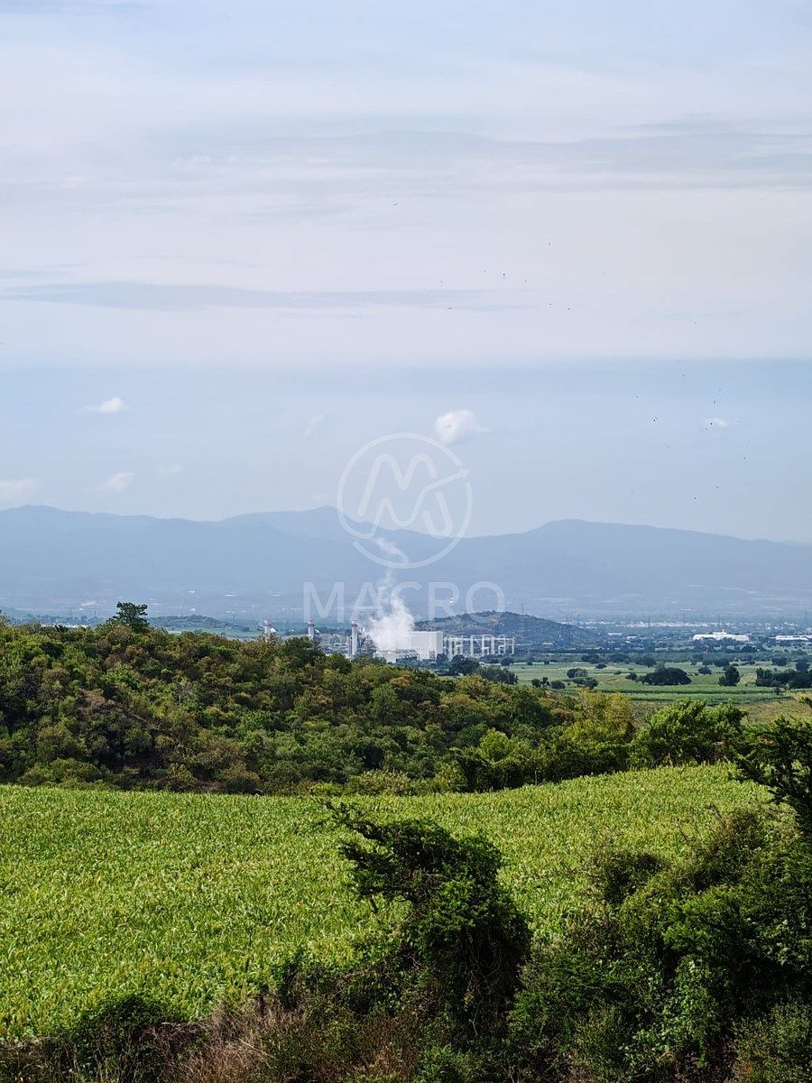Terreno en Yecapixtla, Yecapixtla, foto 8 de 16