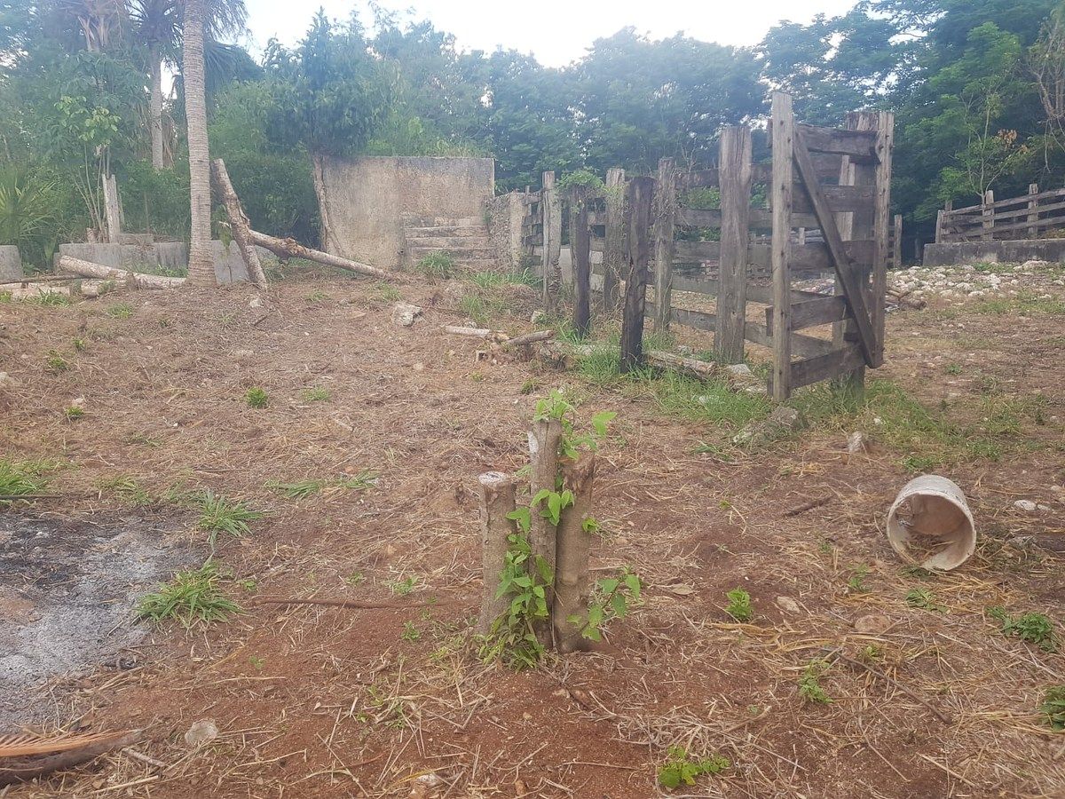 Terreno en Dzitas, Dzitás, foto 5 de 6