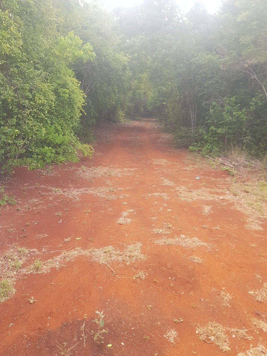 Terreno en Dzitas, Dzitás, foto 6 de 6