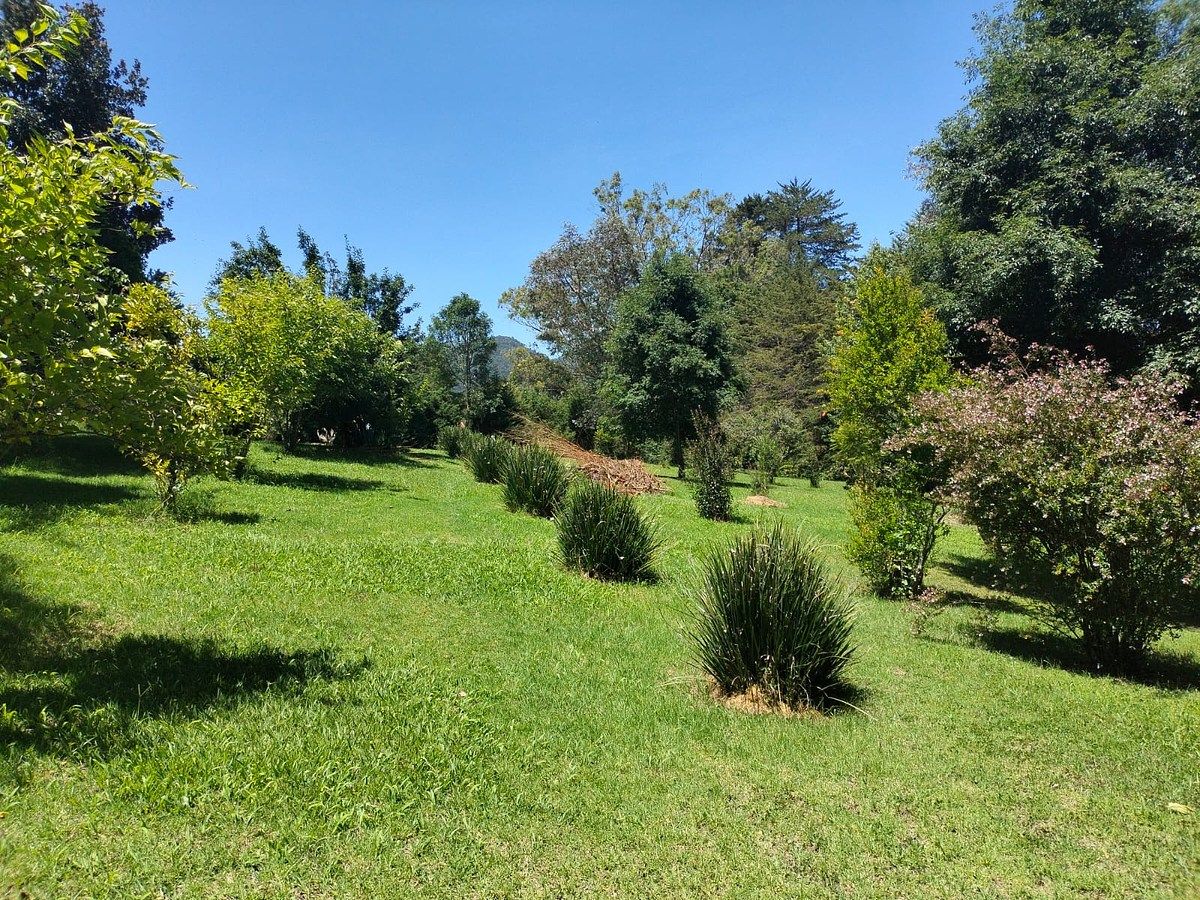 Lote em La Frontera, San Cristóbal de Las Casas, foto 6 de 7