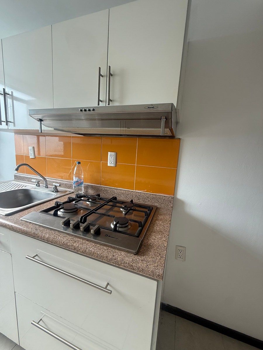 Apartment in Nueva Santa Anita, Iztacalco, photo 7 of 14
