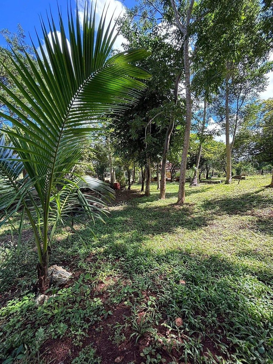 Rancho en Espita, Espita, foto 3 de 6