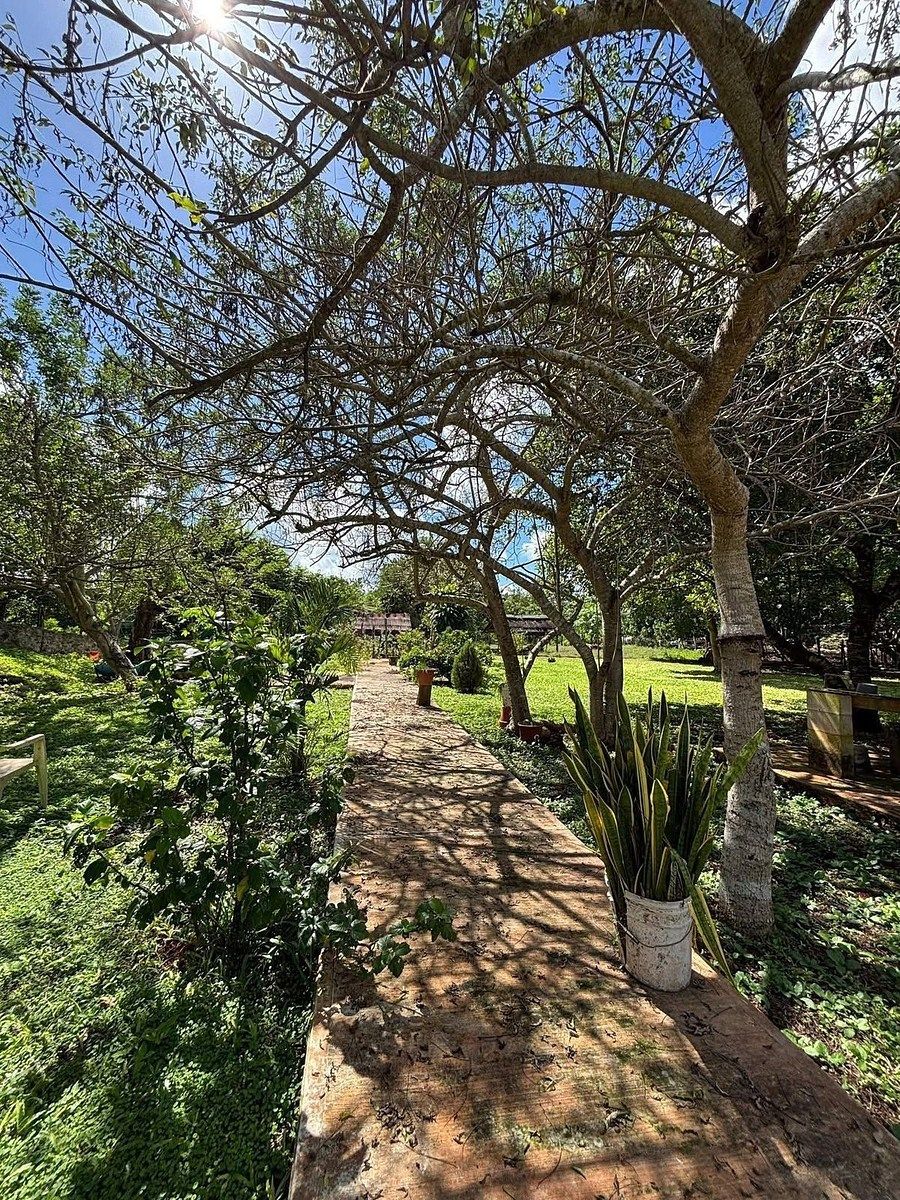 Rancho en Espita, Espita, foto 4 de 6