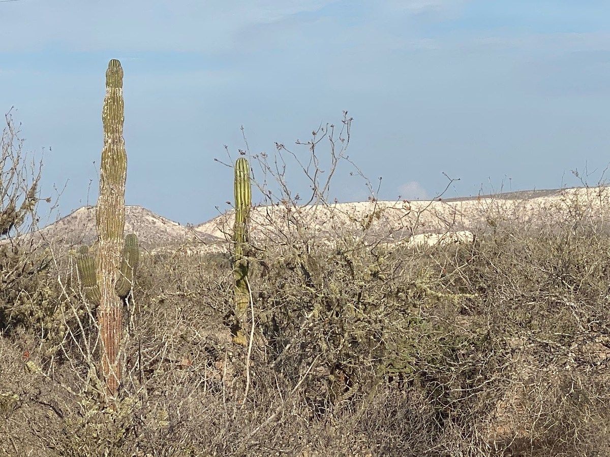 Lot in NCPE Conquista Agraria, La Paz, photo 4 of 9