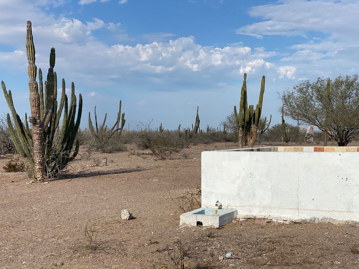 Lot in NCPE Conquista Agraria, La Paz, photo 5 of 9