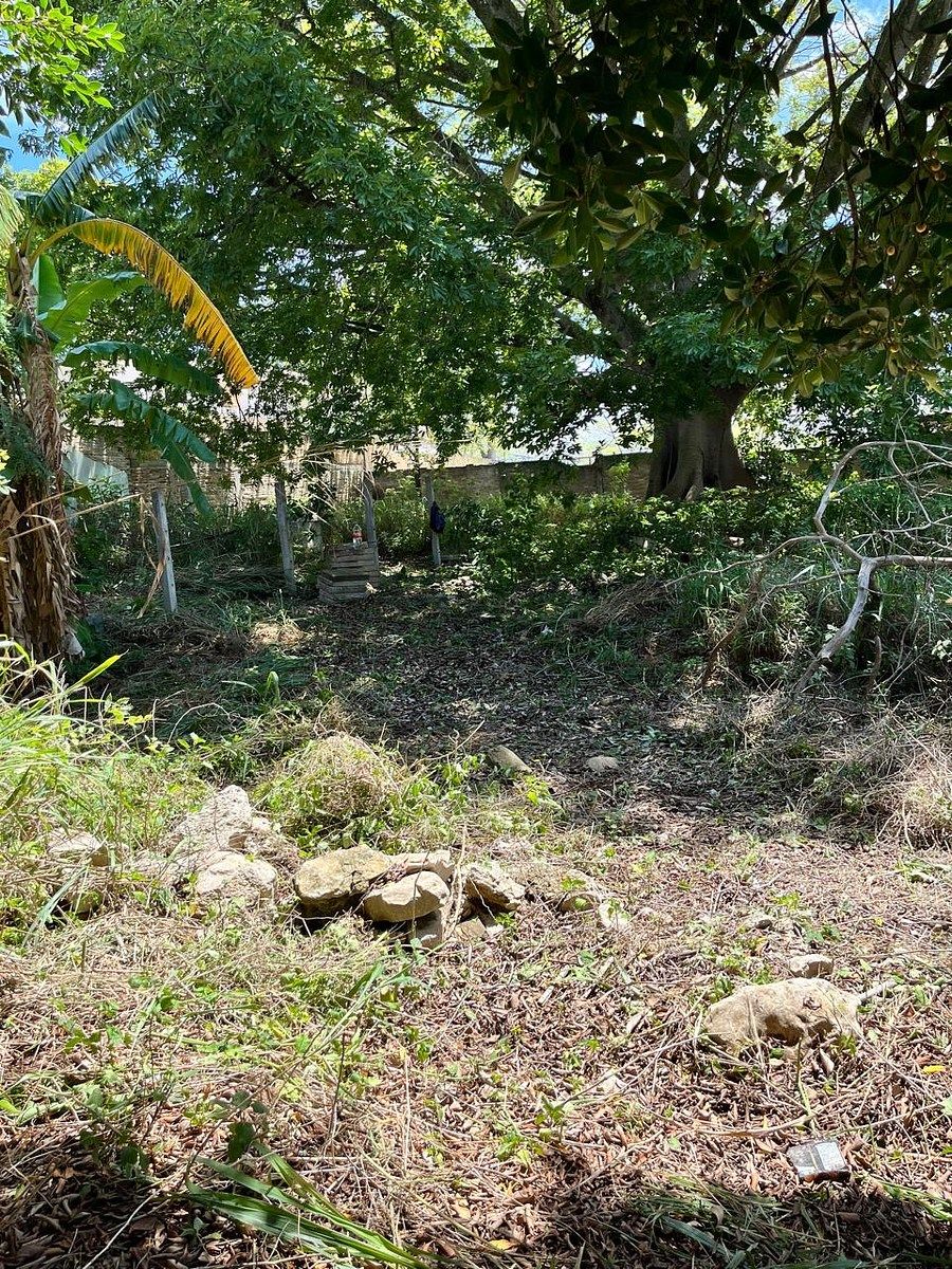 Terreno en San Francisco, Berriozábal, foto 3 de 11