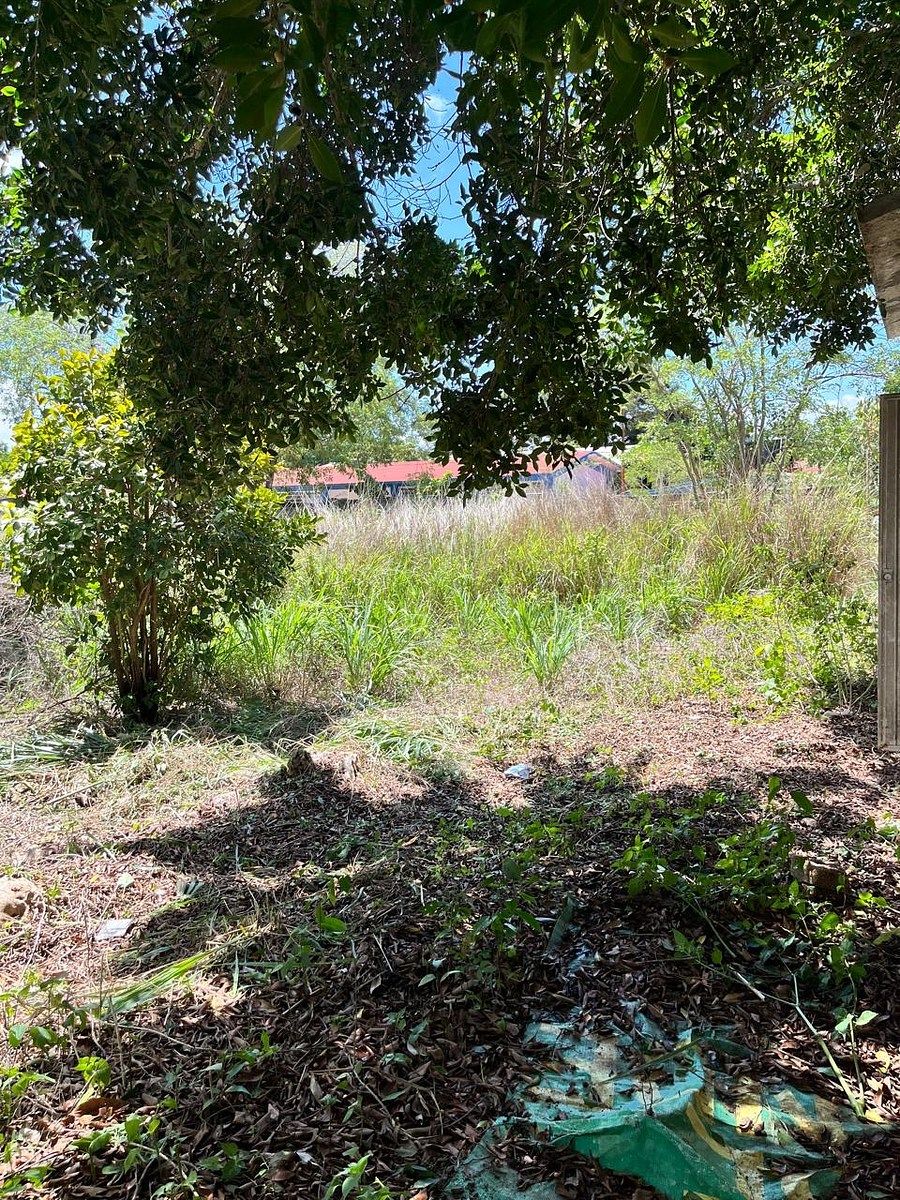 Terreno en San Francisco, Berriozábal, foto 4 de 11
