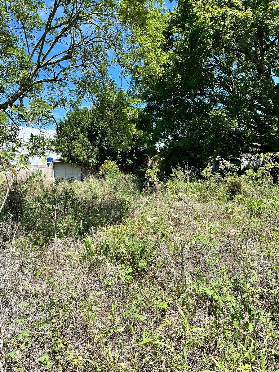 Terreno en San Francisco, Berriozábal, foto 7 de 11