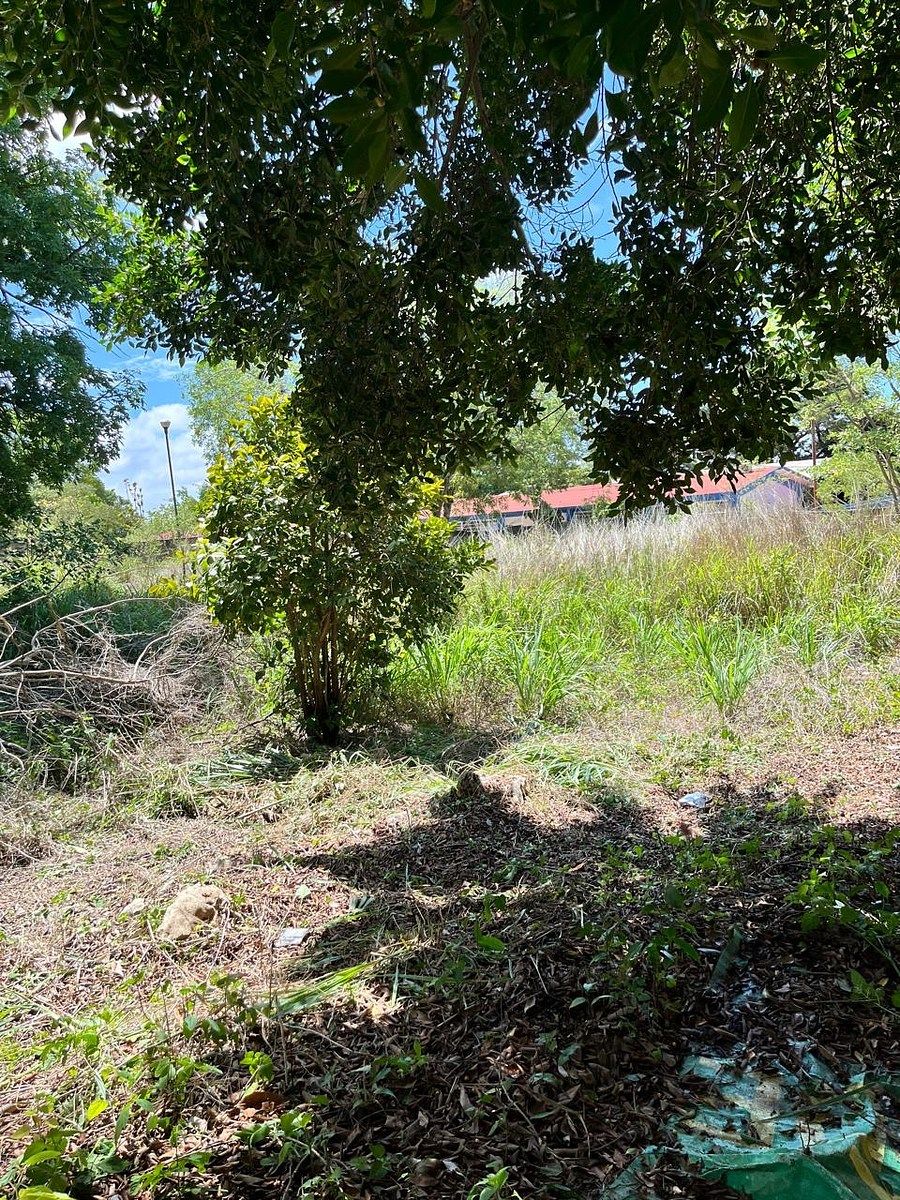 Terreno en San Francisco, Berriozábal, foto 8 de 11