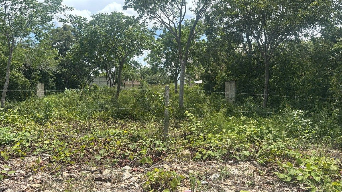 Terreno en Temozón Norte, Mérida, foto 3 de 3