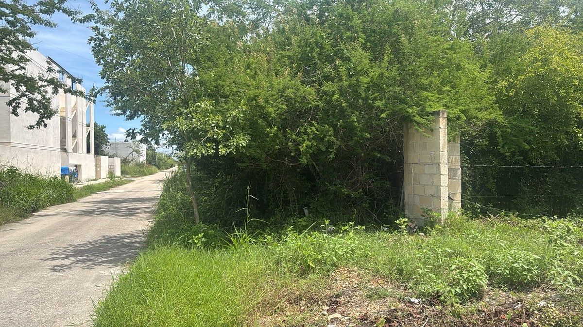 Terreno en Temozón Norte, Mérida, foto 2 de 3