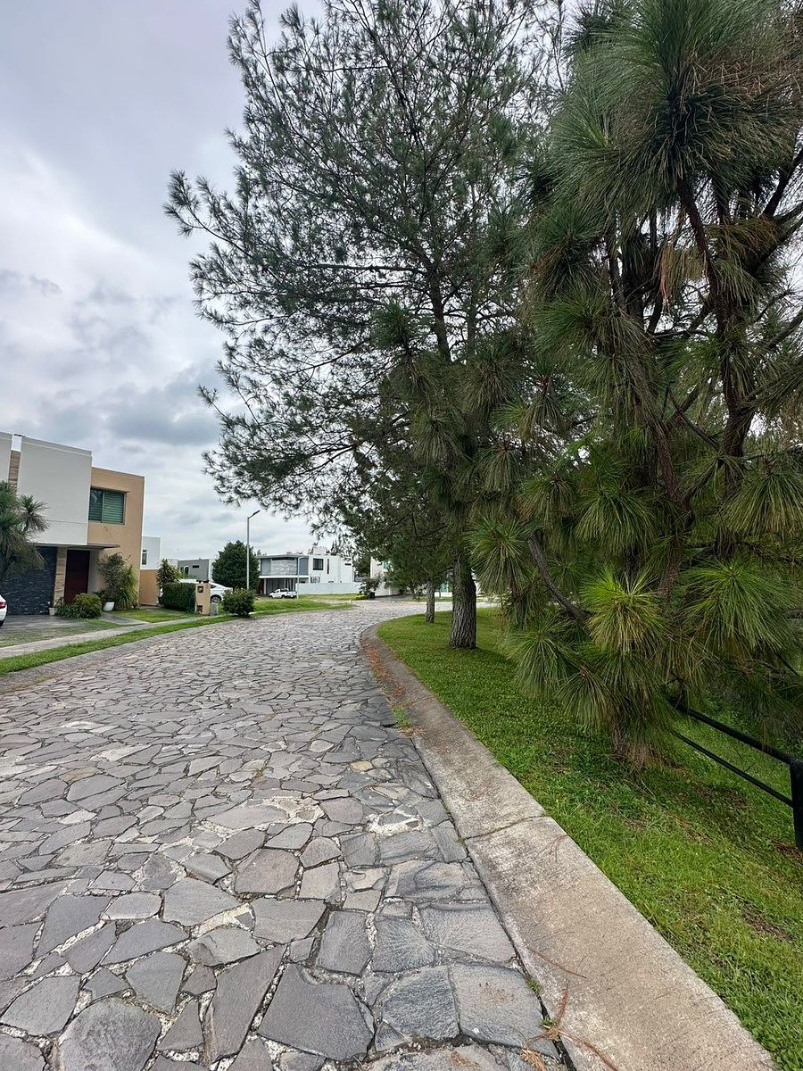 LAND FOR SALE DIANA NATURA, photo 1 of 18