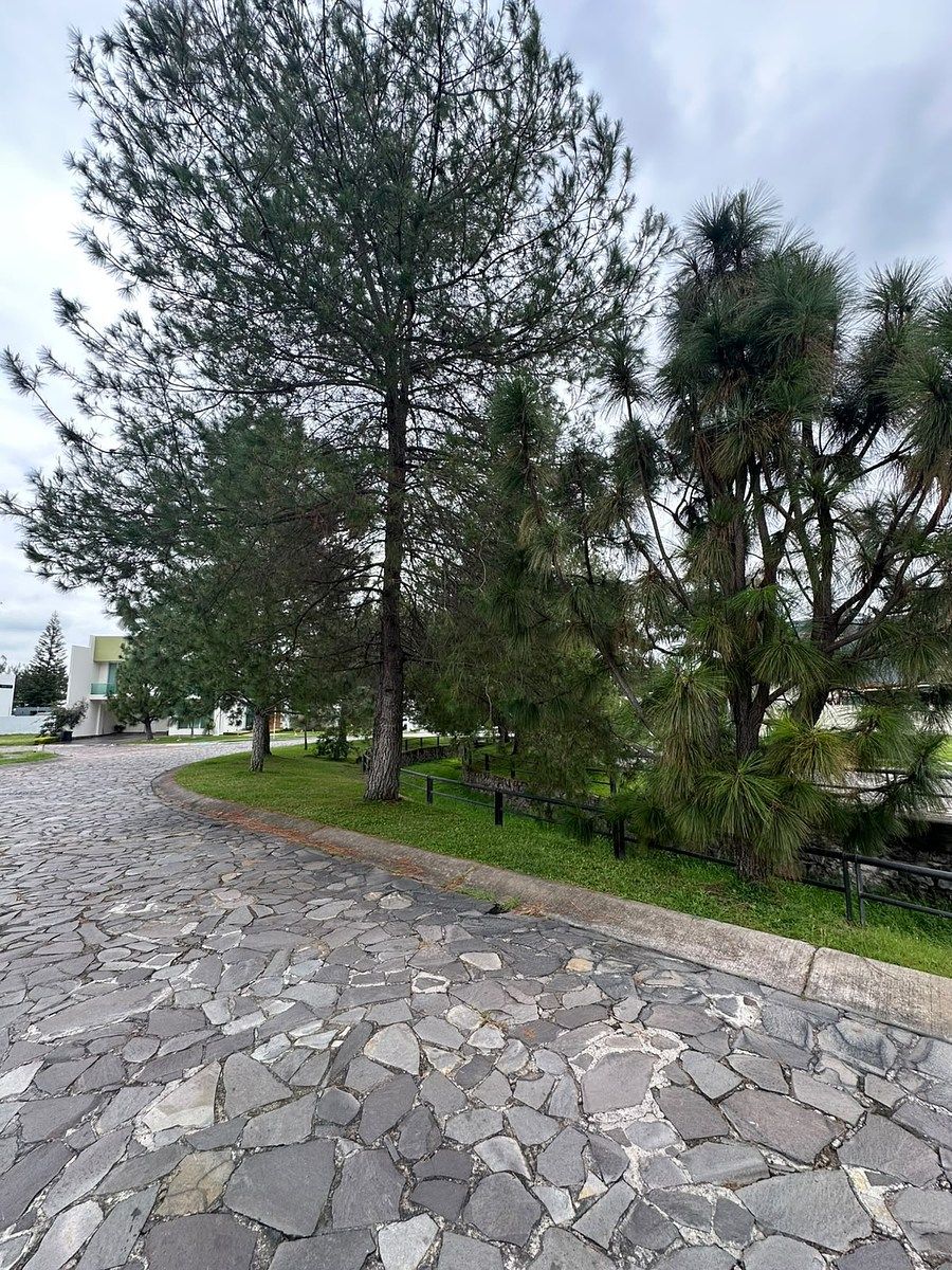 Lot in Diana Nature Residencial, Zapopan, photo 7 of 18