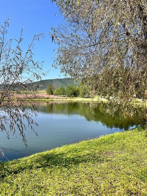 Lote em Tapalpa, Tapalpa, foto 5 de 24