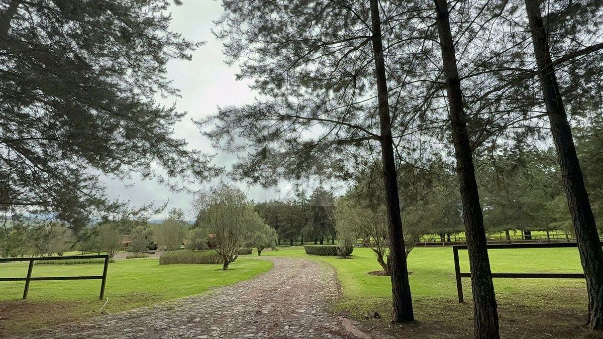 Lote em Tapalpa, Tapalpa, foto 8 de 24