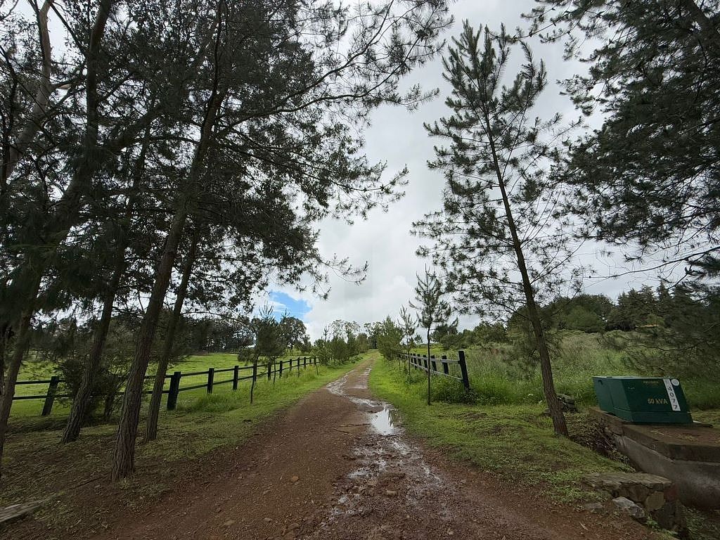 Lote em Tapalpa, Tapalpa, foto 10 de 24