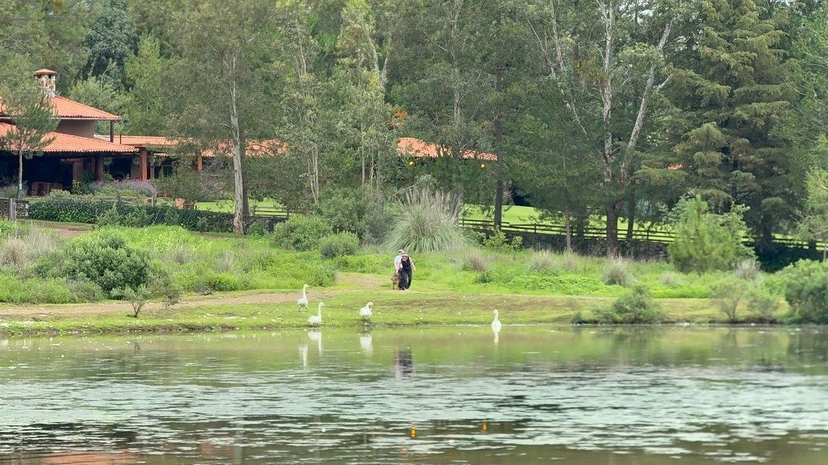Lote em Tapalpa, Tapalpa, foto 13 de 24